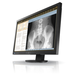 Eizo MS230W 23" DisplayPort VGA DVI