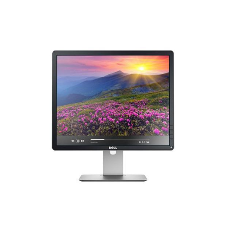 Dell P1914SF 19" LED TFT IPS DISPLAY PORT VGA DVI