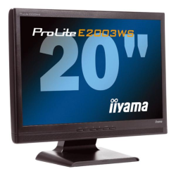 Écran IIyama E2003WS 20 pouces VGA DVI 16:10 LED