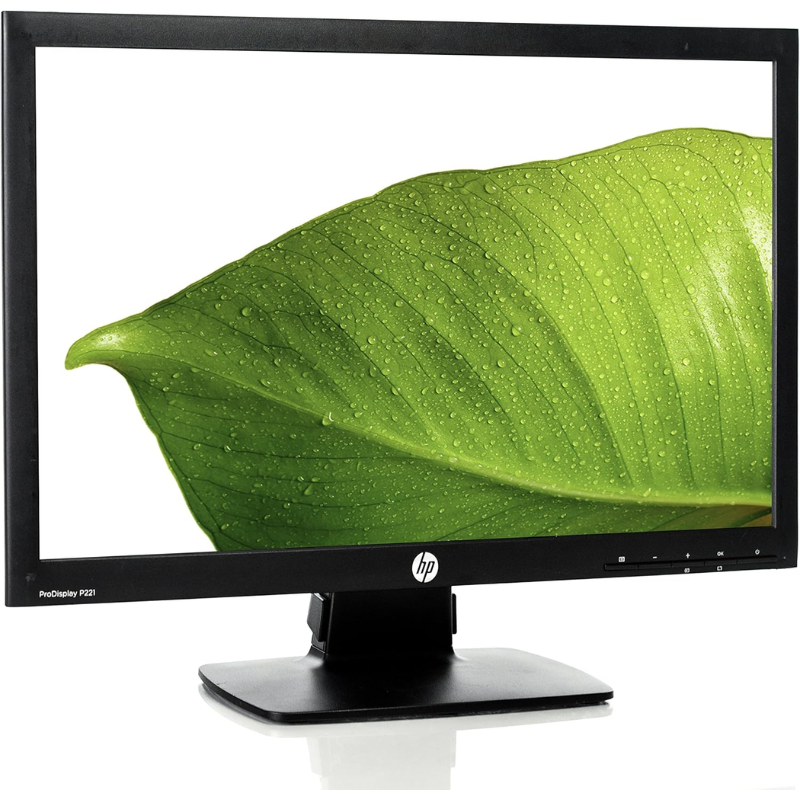 HP PRODISPLAY P221 21.5 "Full HD LED DVI VGA PC-Bildschirm überholt