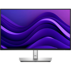 Schermo del PC Dell P2225H 21,5 pollici IPS Full HD 100 Hz USB-C Ricondizionato