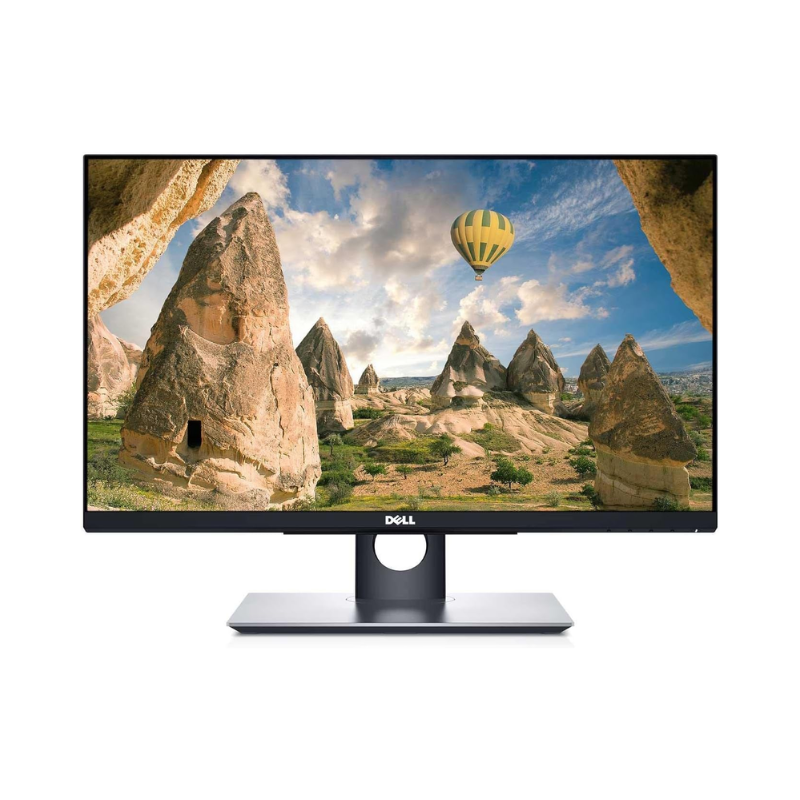 Dell P2418HT - Connectique